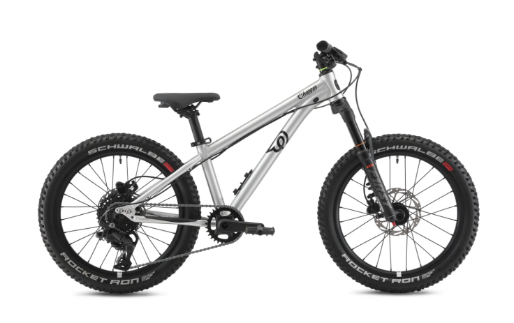 Vaikiškas dviratis EARLY RIDER Charger 20