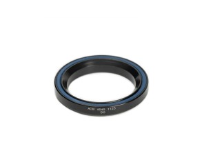 Guolis Enduro Bearings ACB 4545 1125 Black Oxide 1-1/8