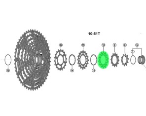 Galinė žvaigždutė Shimano XTR CS-M9200 12-speed 14T for 10-51T