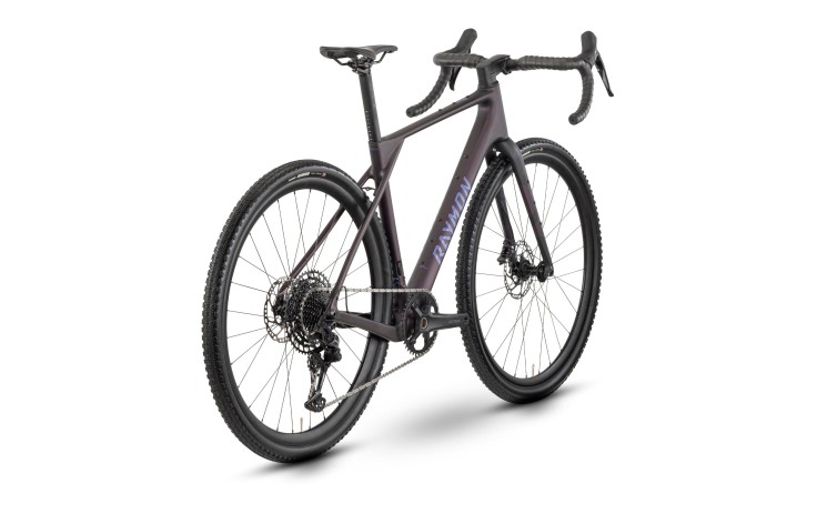 Dviratis Raymon Soreno Pure 2026 floridplum