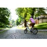 Elektrinis dviratis Ecobike Rhino Cruise White 504Wh