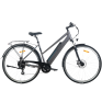 Electric bicycle TOTEM XC920 28, gray