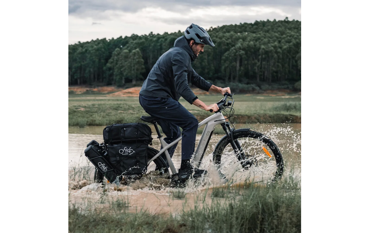 Electric bike FIIDO Nomads (L)