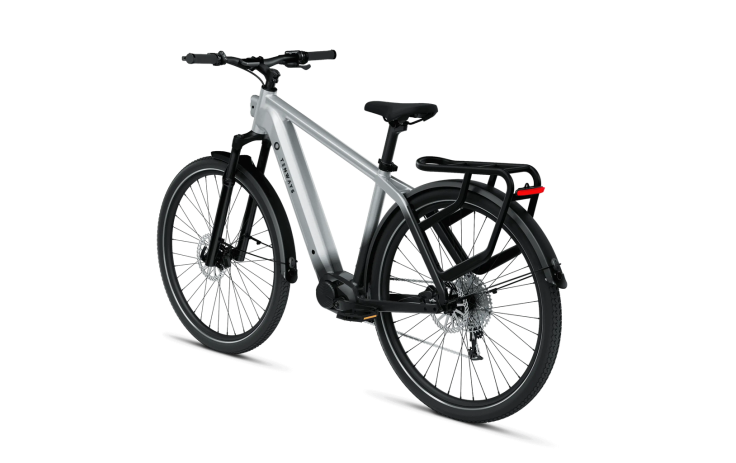 Electric bicycle TENWAYS AGO X, 29 Gradient Silver (XL)
