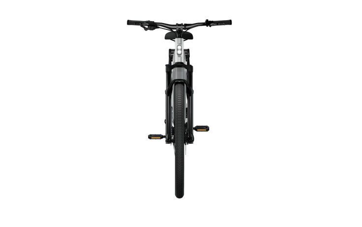 Electric bicycle TENWAYS AGO X, 29 Gradient Silver (XL)