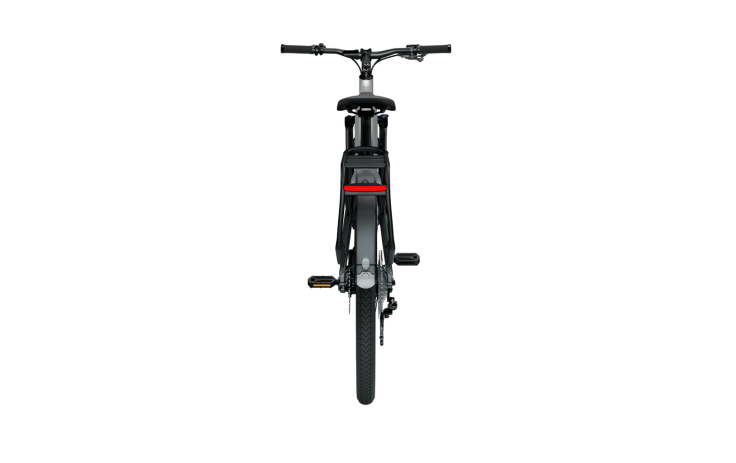Electric bicycle TENWAYS AGO X, 29 Gradient Silver (XL)