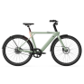 Electric bicycle TENWAYS CGO009, Sage Green