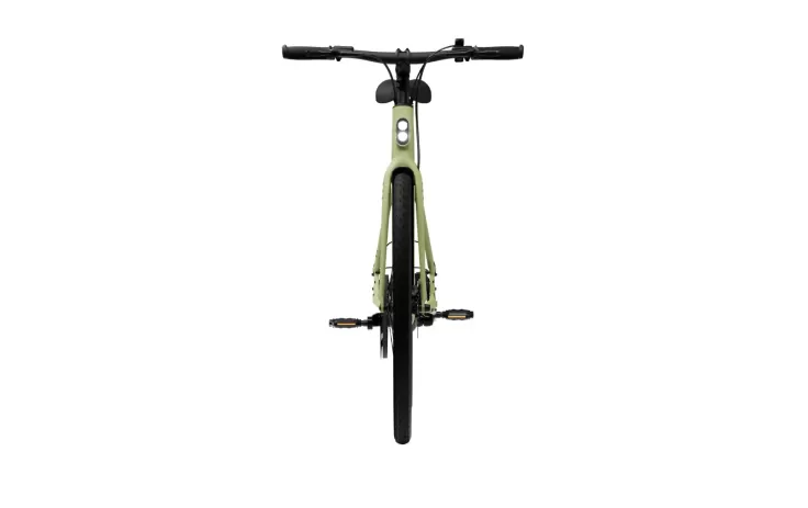 Electric bicycle TENWAYS CGO600 Pro, Avocado Green (XL)