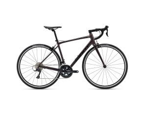 Bicycle Giant Contend 1, Rosewood (S)