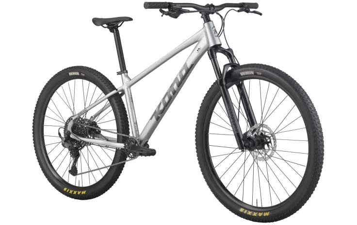 Bicycle KONA Cinder Cone (2027) Gloss Metallic Silver (M)